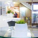 酒店 福克斯巴克塔尔运动酒店 4*